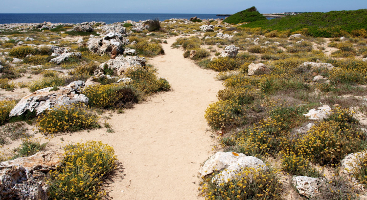 Fußweg auf Menorca